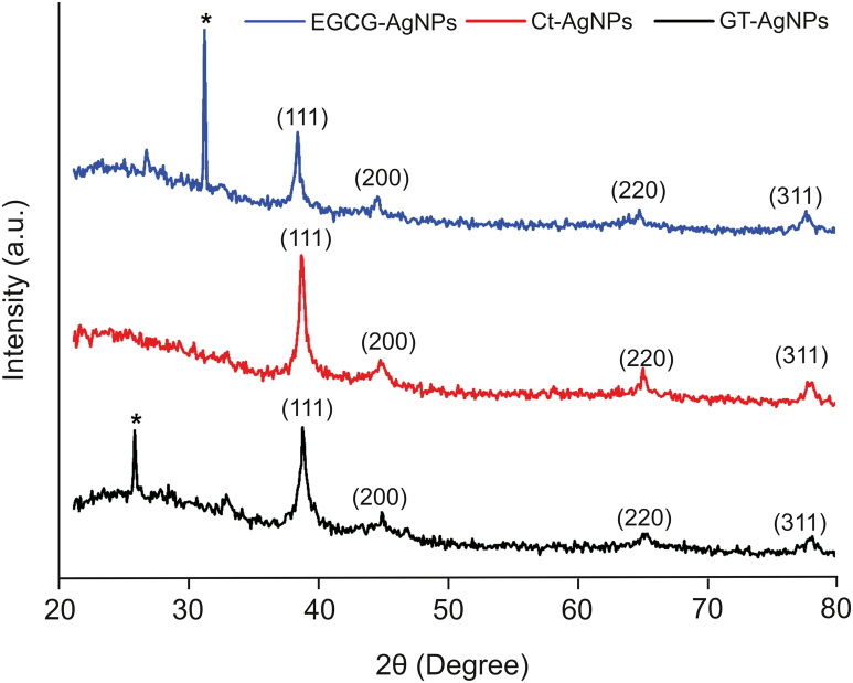 Fig. 3