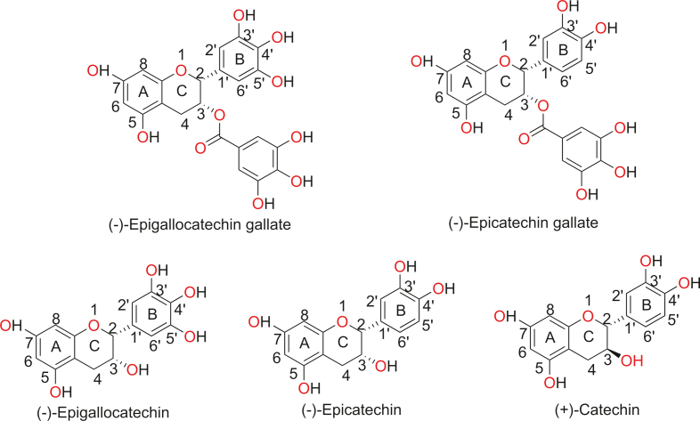 Fig. 1