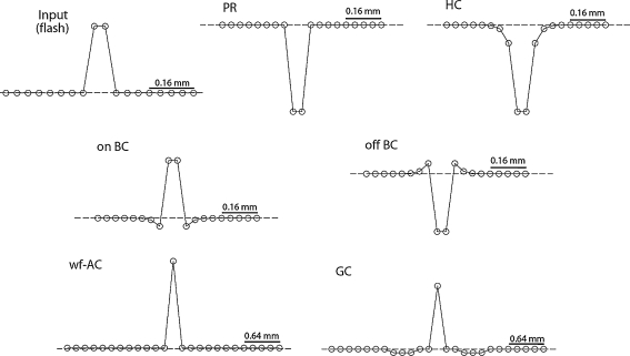 Fig. 5