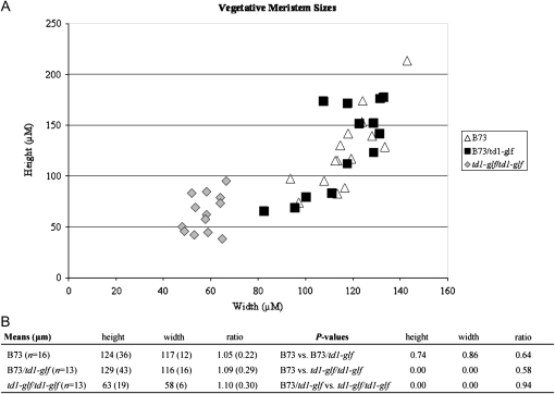 Figure 2.—