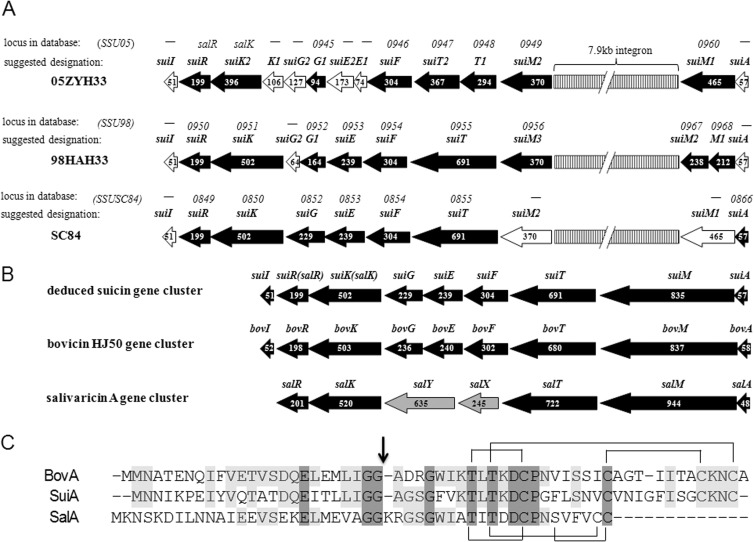 FIG 1