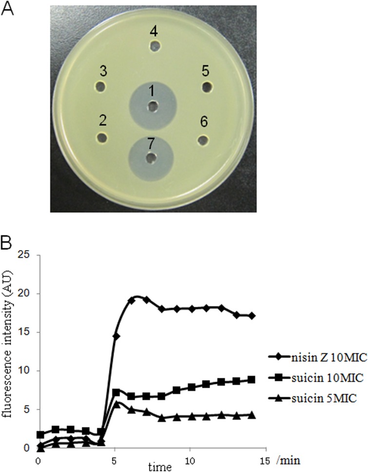 FIG 4