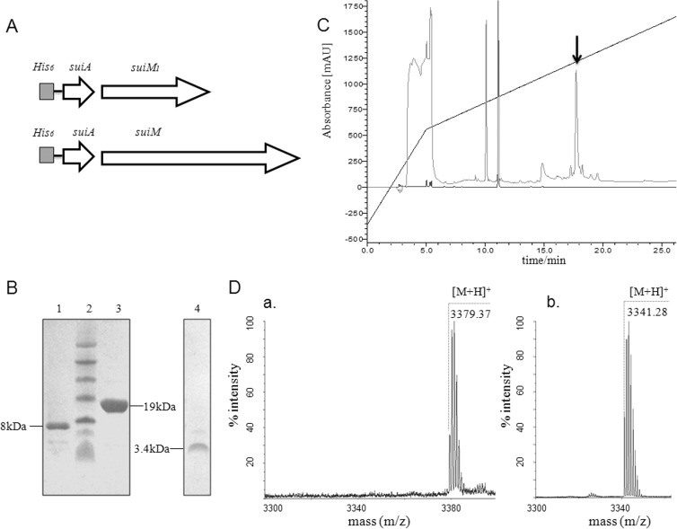 FIG 2