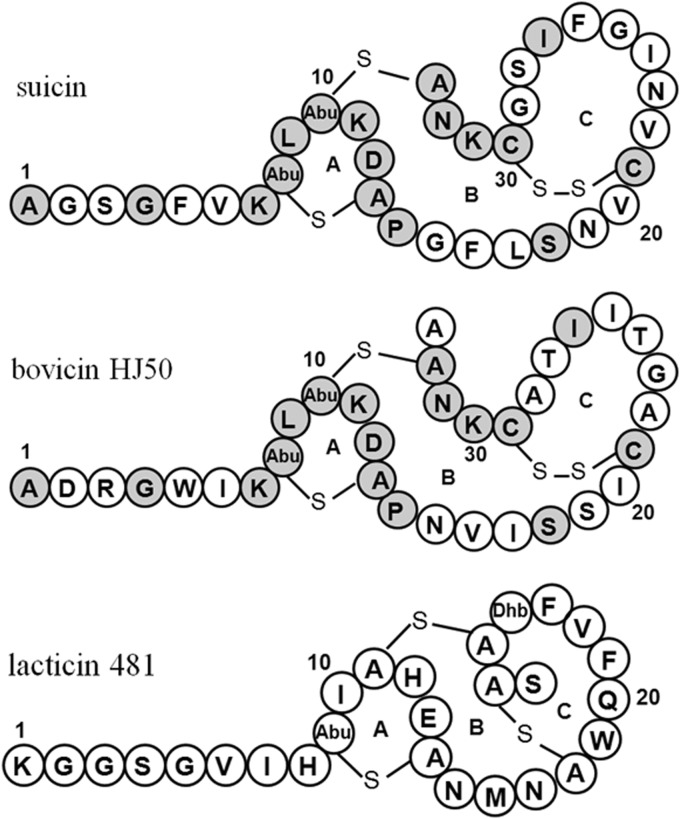 FIG 3