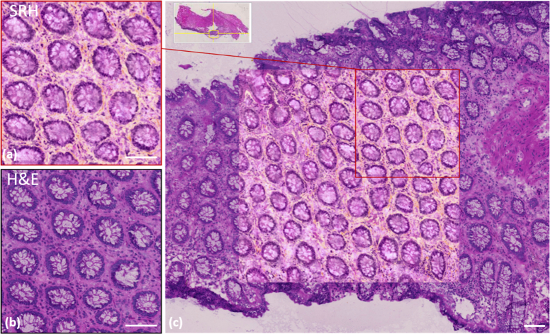 Fig. 2.