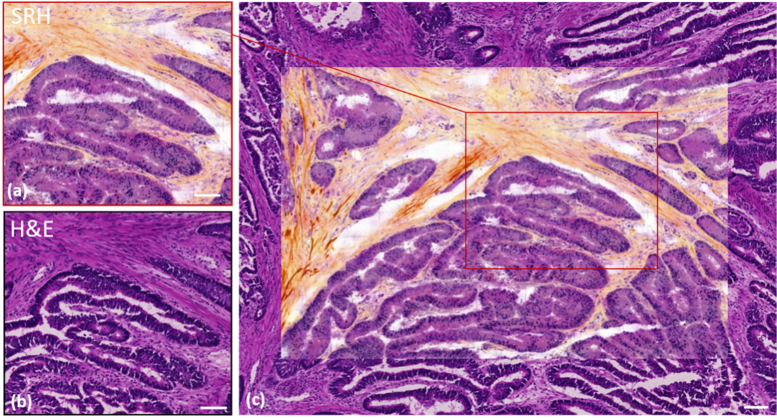 Fig. 3.