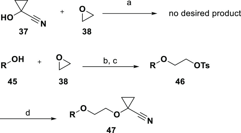 Scheme 4