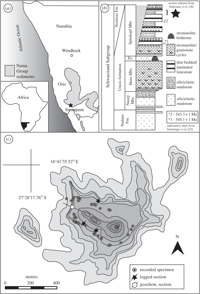 Figure 1.