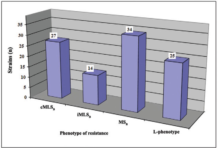 The prevalence of different mechanisms of resistance to macrolide,
lincosamide, and streptogramins B (MLSB) antibiotics among
erythromycin-resistant Staphylococcus epidermidis. cMLSB:
constitutive resistance to MLSB antibiotics; iMLSB: inducible resistance to
MLSB antibiotics; MSB: resistance of MSB type.