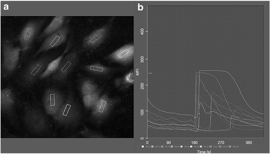 Fig. 4