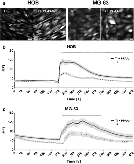 Fig. 6