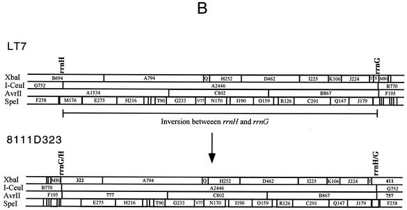 FIG. 5.