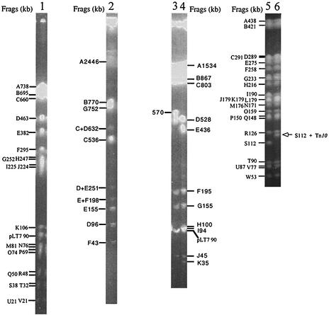 FIG. 1.