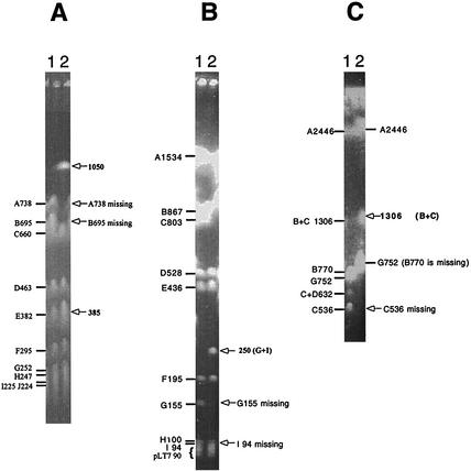 FIG. 6.