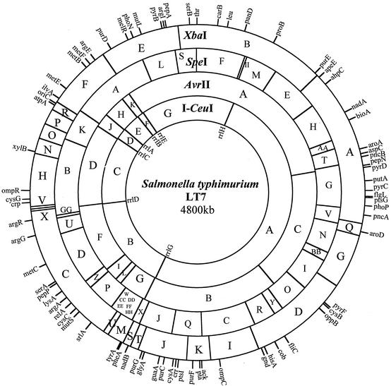 FIG. 2.