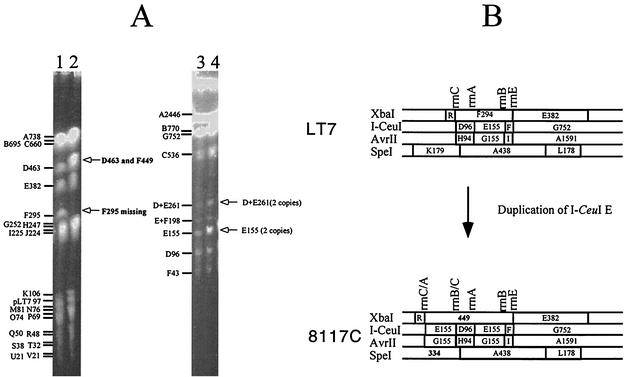 FIG. 4.