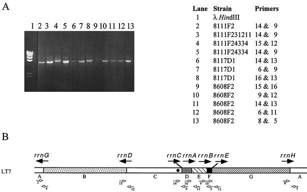 FIG. 7.