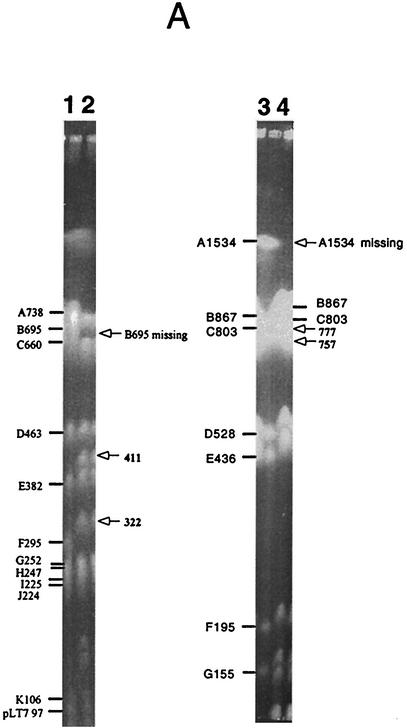 FIG. 5.