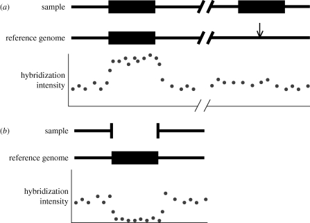 Figure 1.