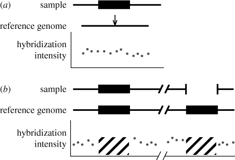 Figure 4.