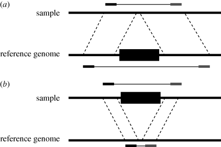 Figure 2.