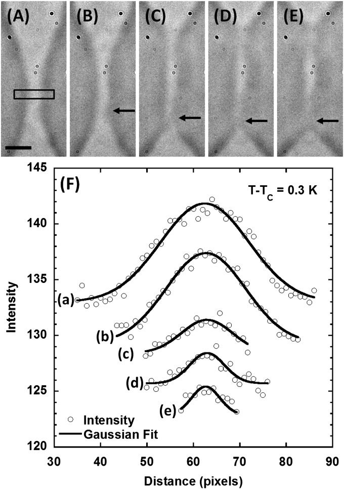 Fig. 6.