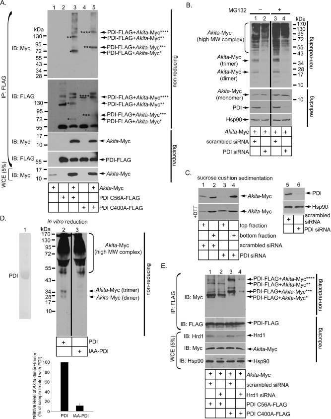 FIGURE 4: