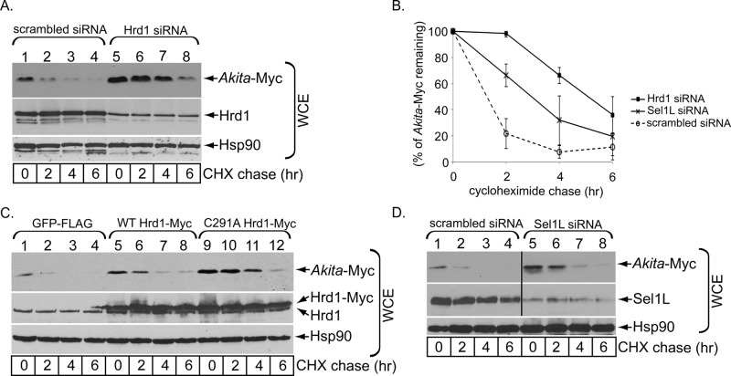 FIGURE 1: