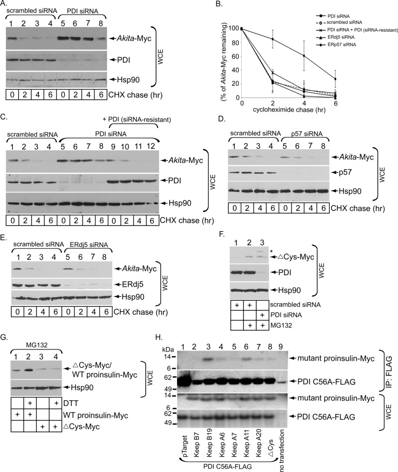 FIGURE 3: