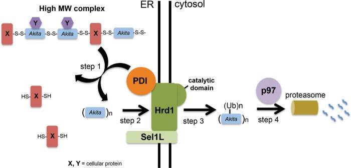 FIGURE 6: