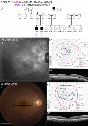 Fig. 2.