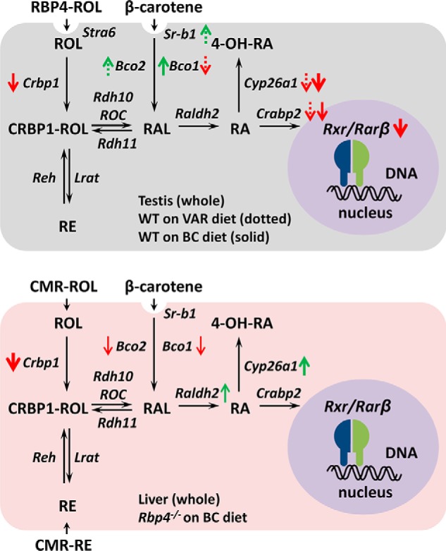 Figure 7.