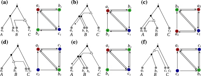 Fig. 12