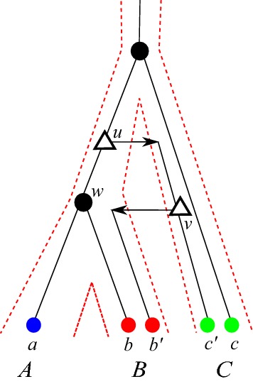 Fig. 11