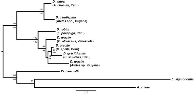 Fig. 2