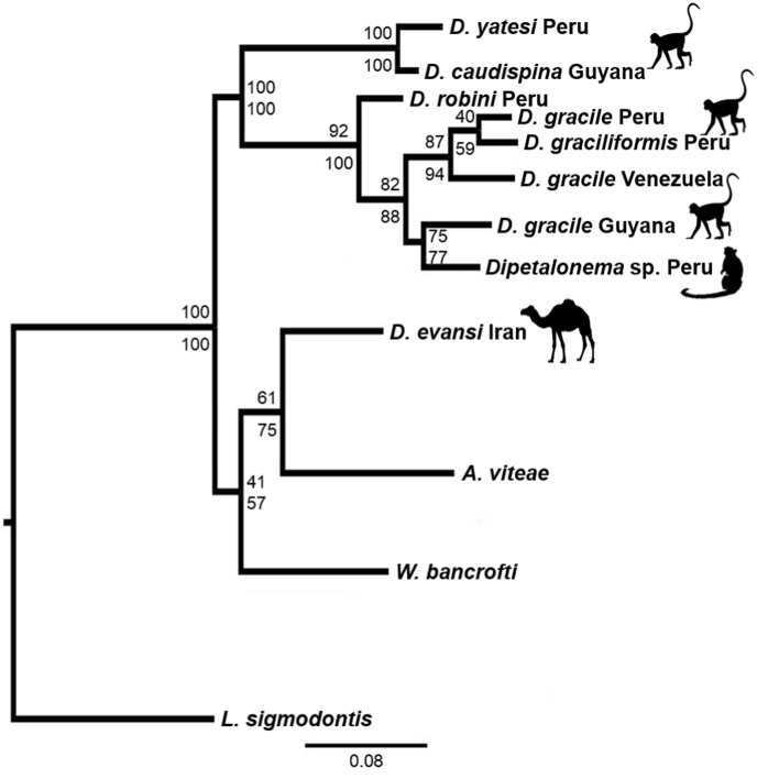 Fig. 3