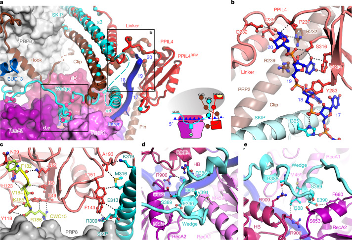 Fig. 4