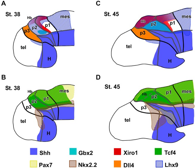 Figure 7