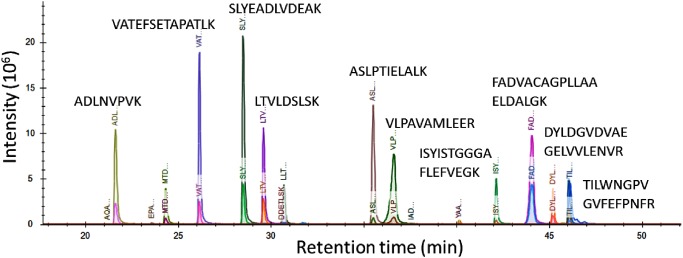 Fig. 1. Selected reaction monitoring (SRM) chromatogram of 19 tryptic peptides with residues in the range of 7–30 derived from phosphoglucokinase in Escherichia coli by nano-liquid chromatography-ultrafast mass spectrometry. A crude peptide sample was prepared from an E. coli strain over-expressing Pgk. Signal intensities of peptides were determined from total peak areas of multiple SRM series of single charged y-series product ions produced from a precursor ion [M+2H]2+.