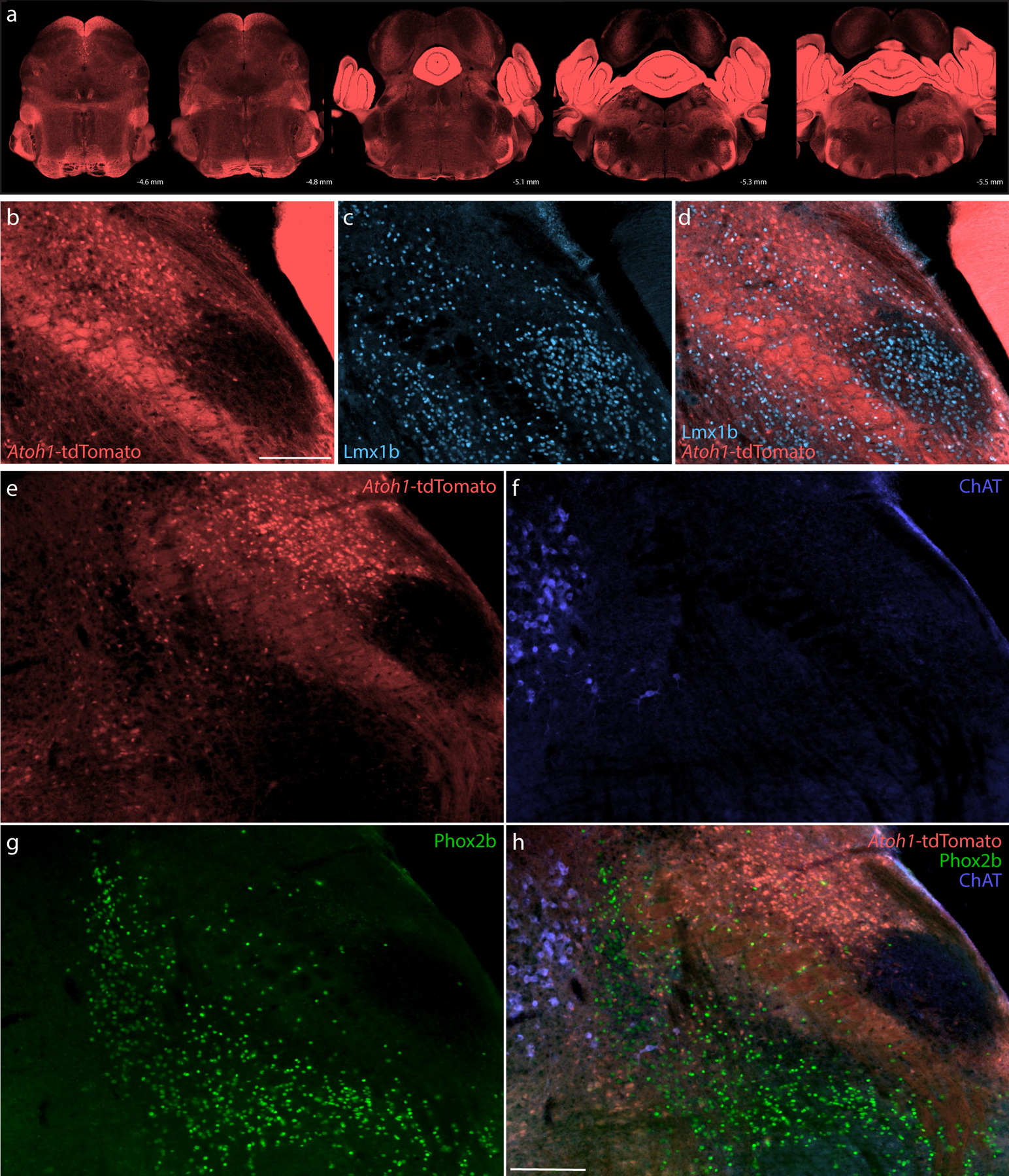 Figure 14.