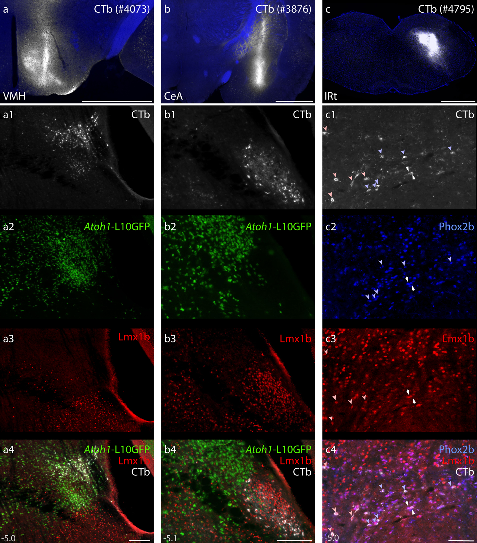 Figure 21.