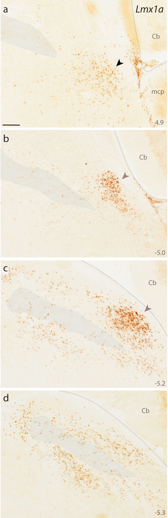 Figure 11.