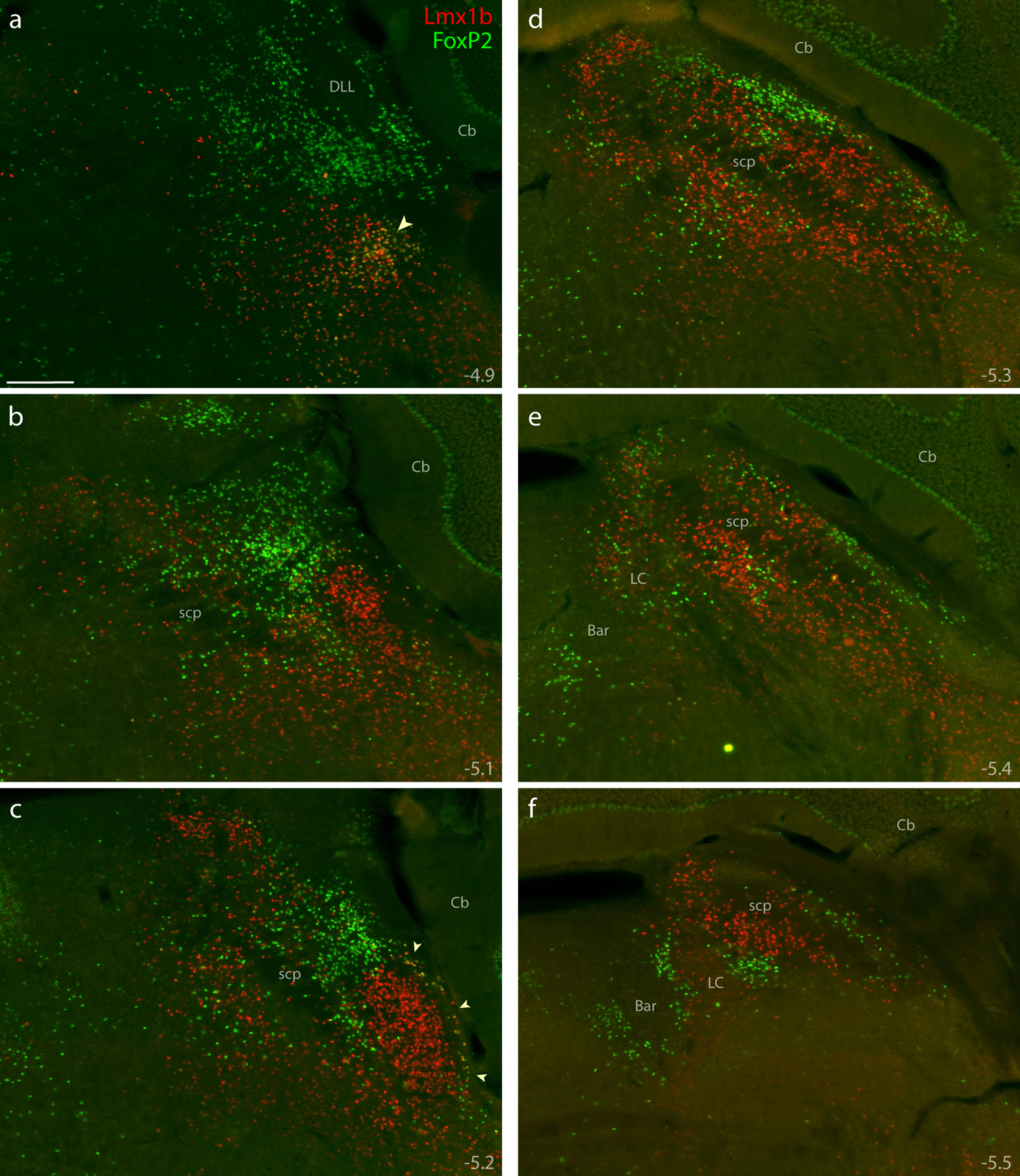 Figure 4.