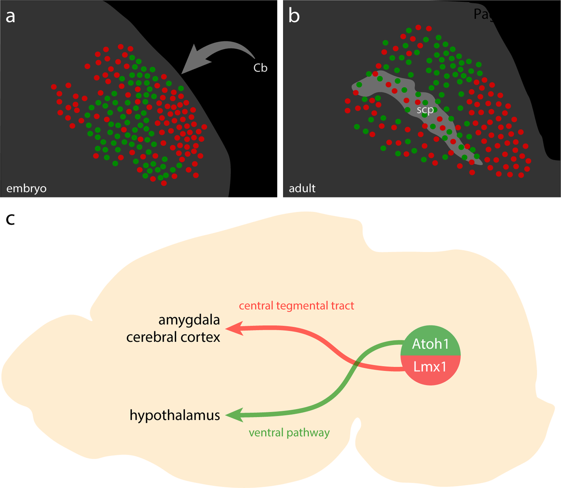 Figure 22.