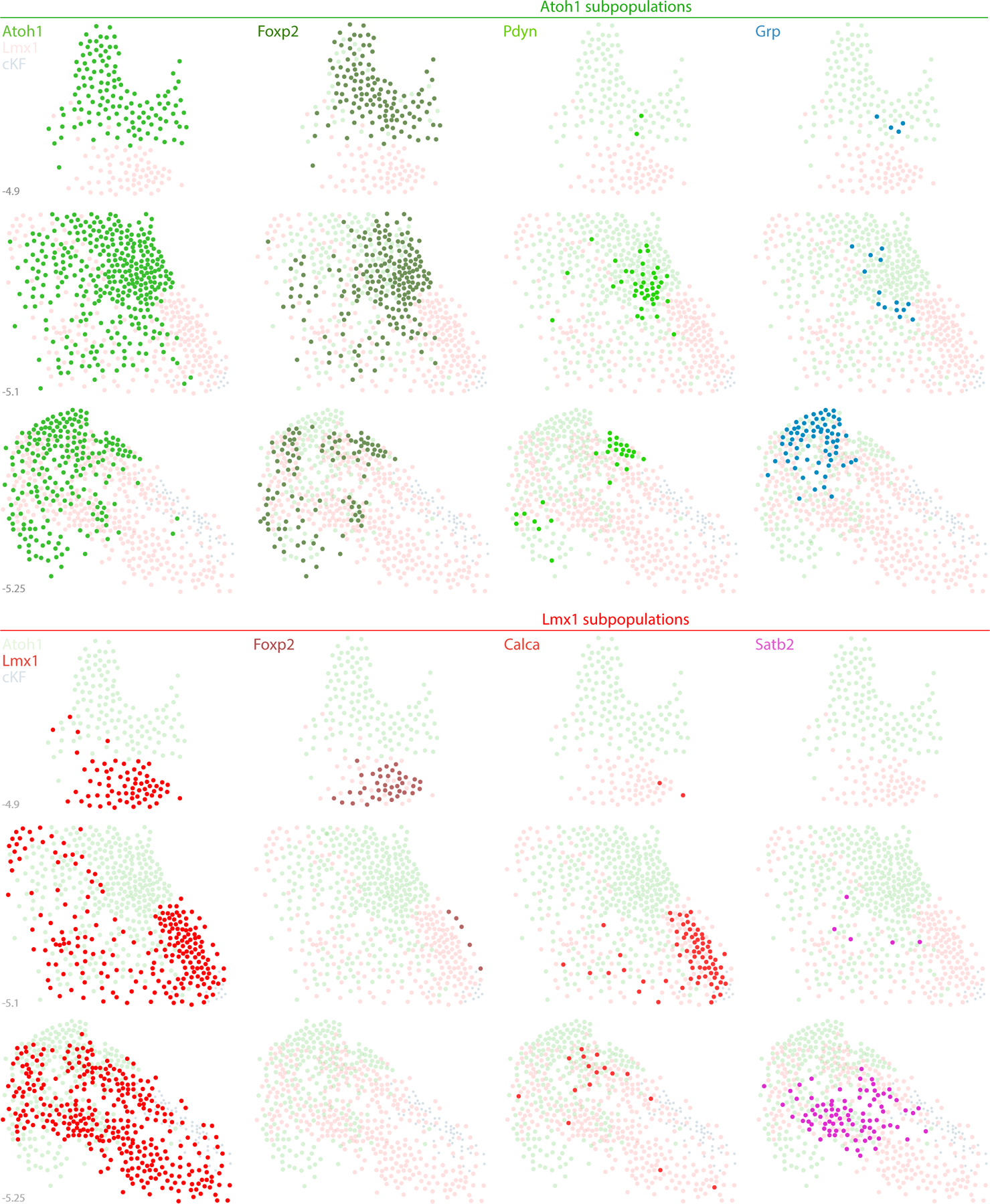 Figure 19.