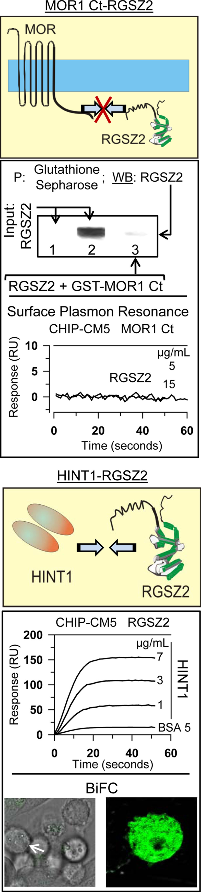 Fig. 4