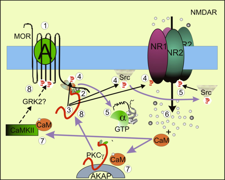 Fig. 11