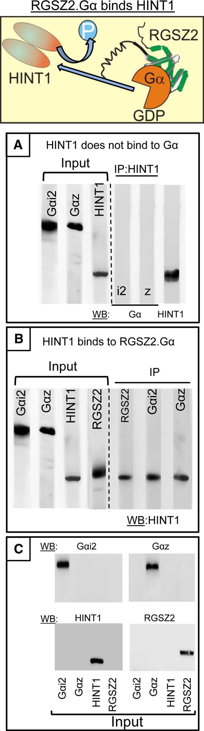 Fig. 6