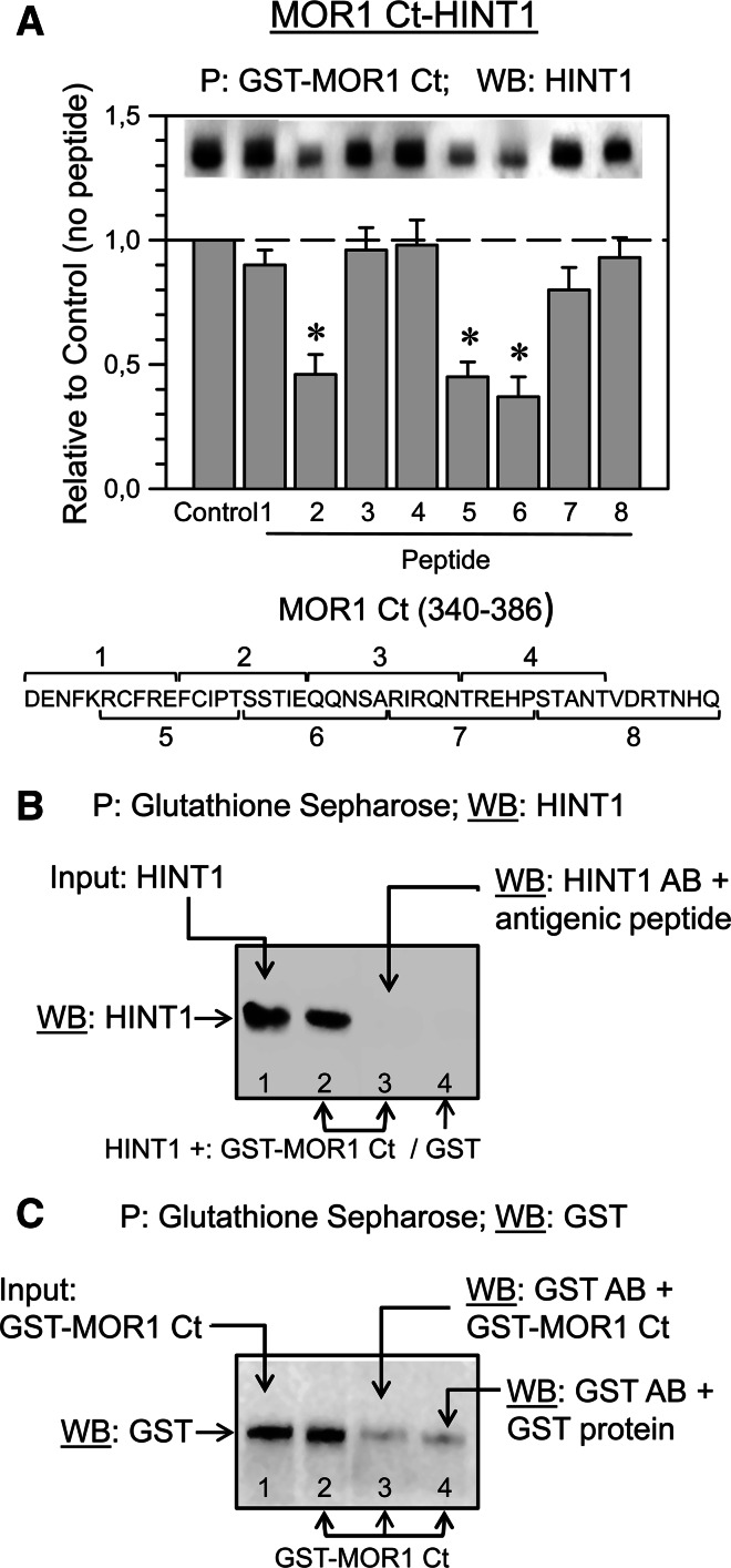 Fig. 3