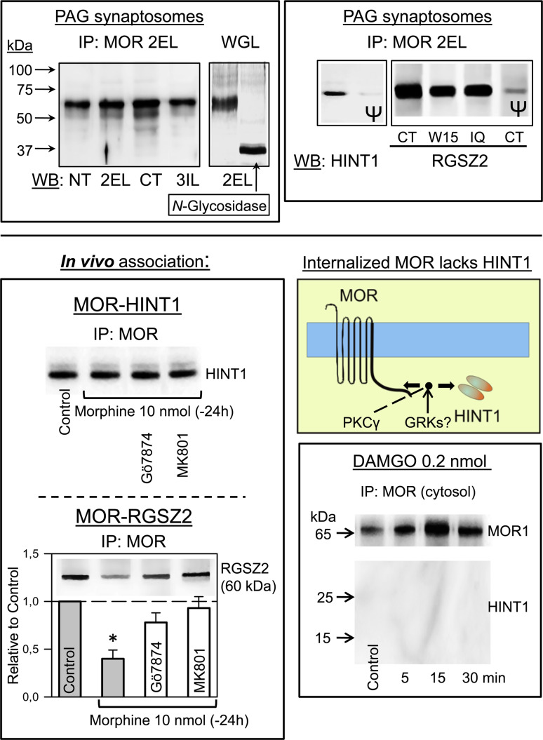 Fig. 7